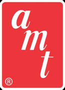 AMT PLastic Kit