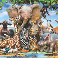 BUDDY 1000 PIECES,JIGSAW PUZZLE,ADULT PUZZLES, ANATOLIAN
