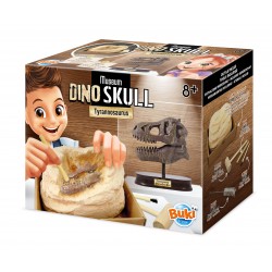 MUSEUM SKULL-T-REX EDUCATIONAL,TEACHER HOME SCHOOL, LEARNING