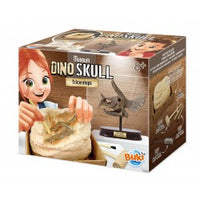 MUSEUM SKULL-TRICERATOPS EDUCATIONAL,TEACHER HOME SCHOOL, LEARNING