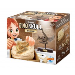 MUSEUM SKULL-TRICERATOPS EDUCATIONAL,TEACHER HOME SCHOOL, LEARNING