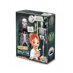 SKELETON 45CM EDUCATIONAL,TEACHER HOME SCHOOL, LEARNING