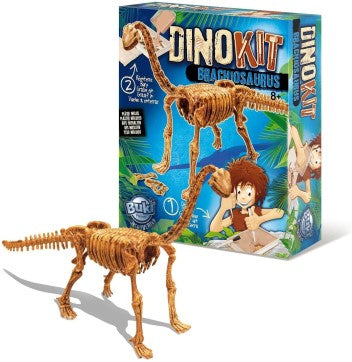 DINO KIT BRACHIOSAURUS PLASTER INCLUDED EDUCATIONAL,TEACHER HOME SCHOOL, LEARNING