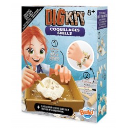 DIG KIT-SHELLS EDUCATIONAL,TEACHER HOME SCHOOL, LEARNING