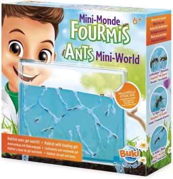 ANTS MINI-WORLD