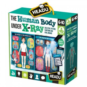 THE HUMAN BODY UNDER X-RAY;EDUCTIONAL PUZZLE, TEACHER HOMESCHOOL SUPPLIES;  TODDLER LEARNING TOYS;  BIRTHDAY