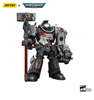 Grey Knights Terminator Caddon Vibova , ACTION FIGURES