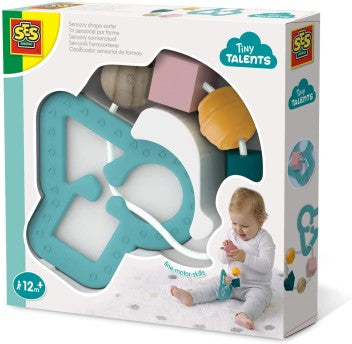 SENSORY SHAPE SORTER EDUCATIONAL,TEACHER HOME SCHOOL, LEARNING
