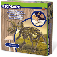 EXCAVATE A TRICERATOPS - morethandiecast.co.za